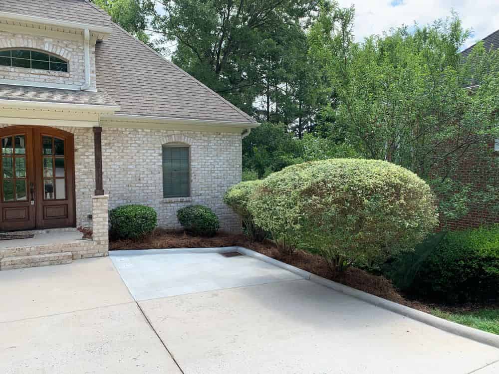 Shrub Trimming & Maintenance image