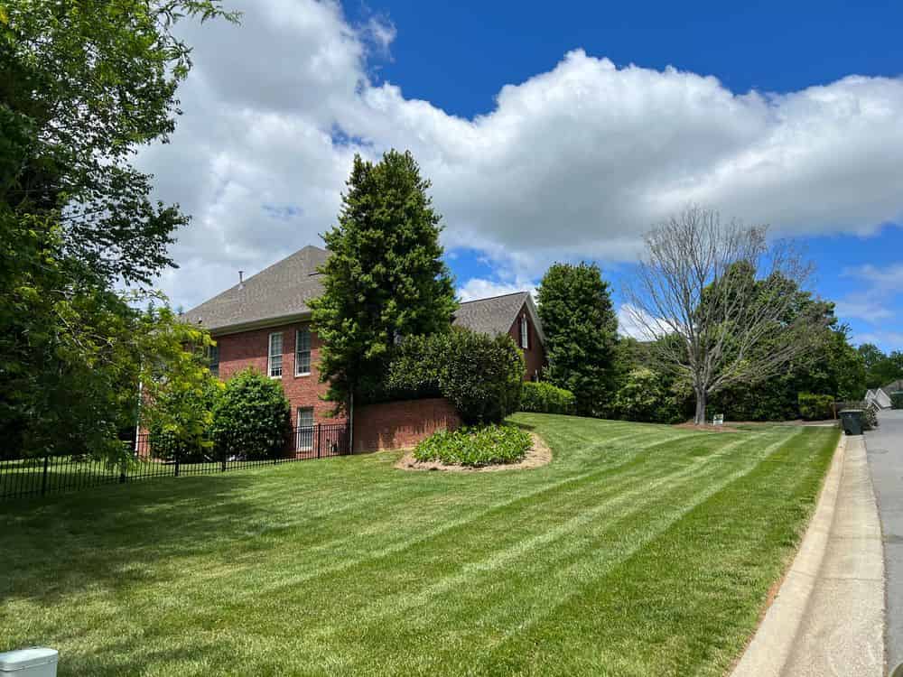 Yard Treatments (fertilization, weed control, etc.) image