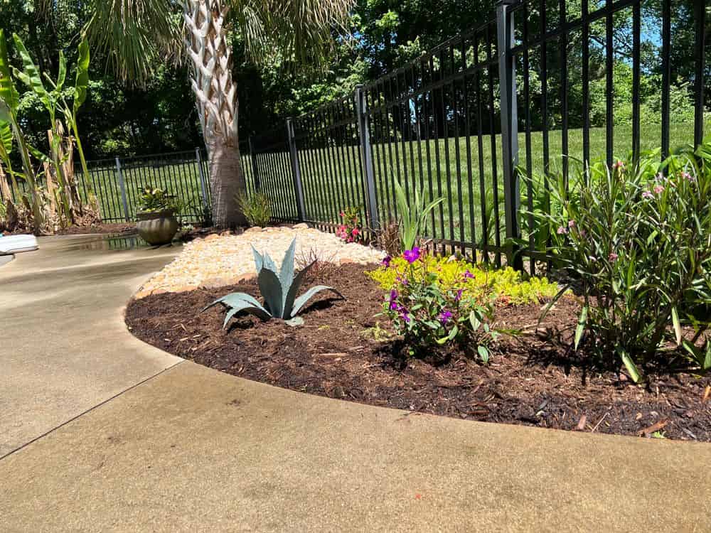 Planting (flowers, shrubs, trees) image