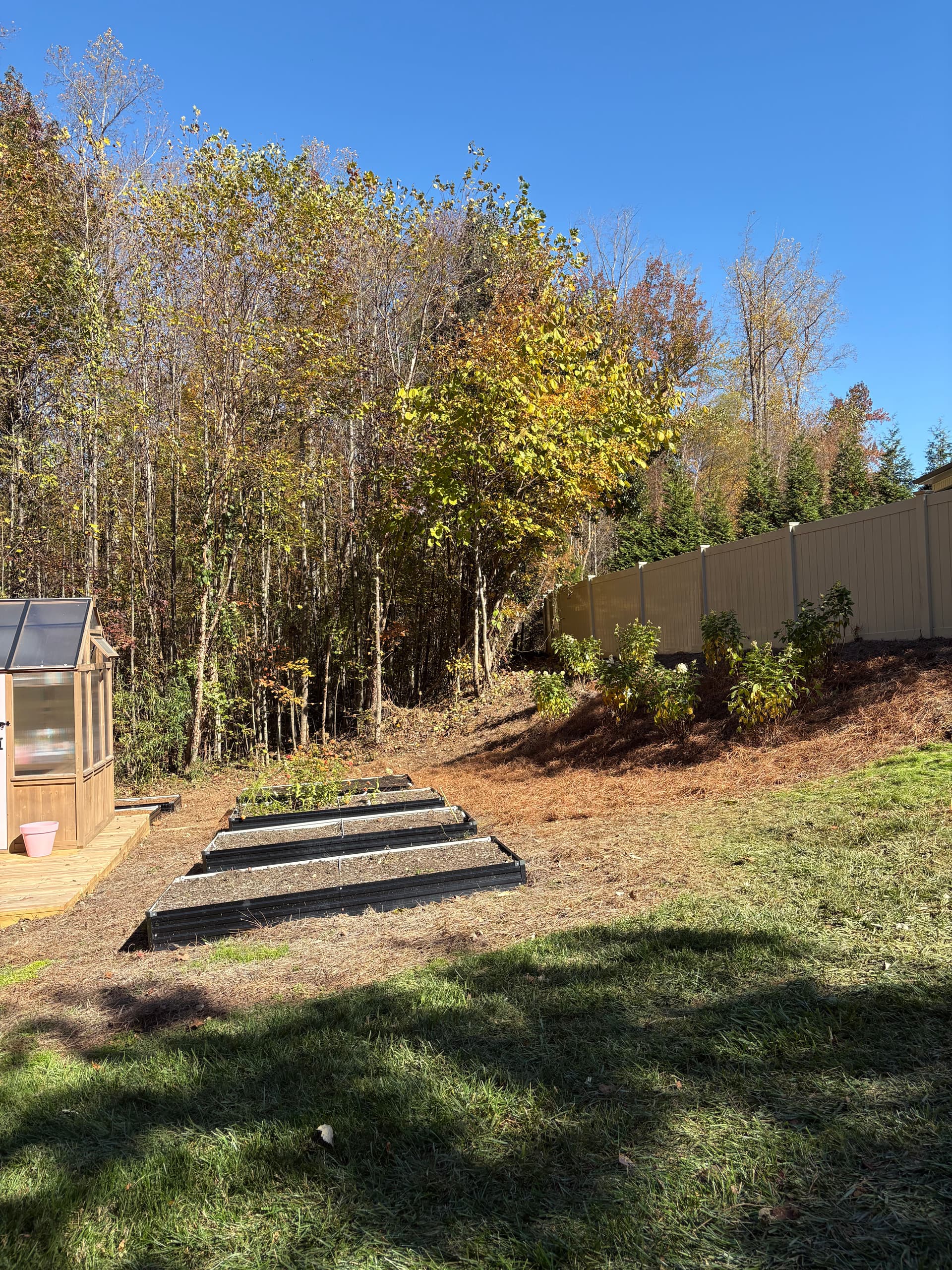 Stunning Landscape Renovation in Lewisville NC