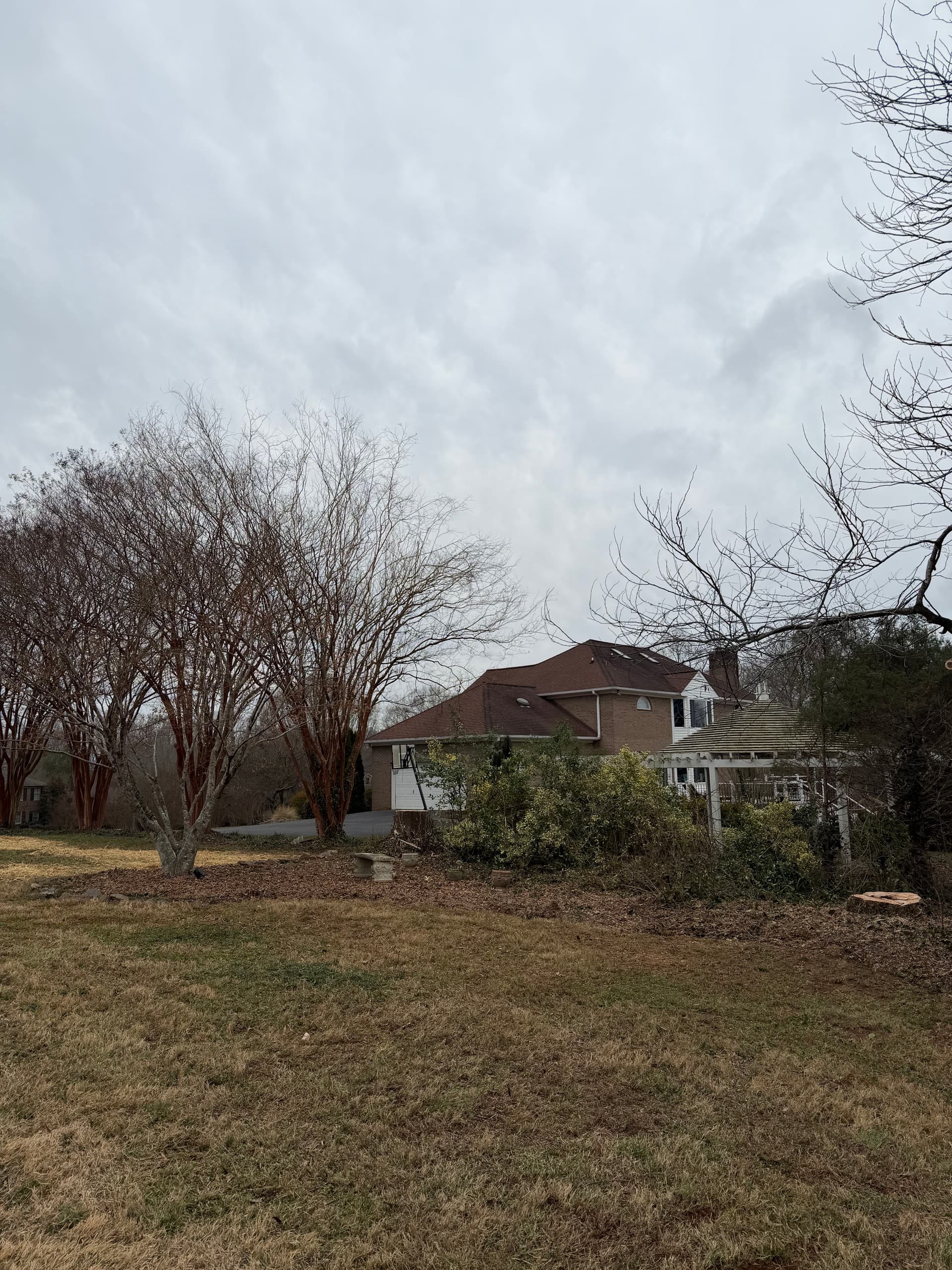 Gallery photos for Safe and Efficient Tree Removal in Lewisville: Image #3