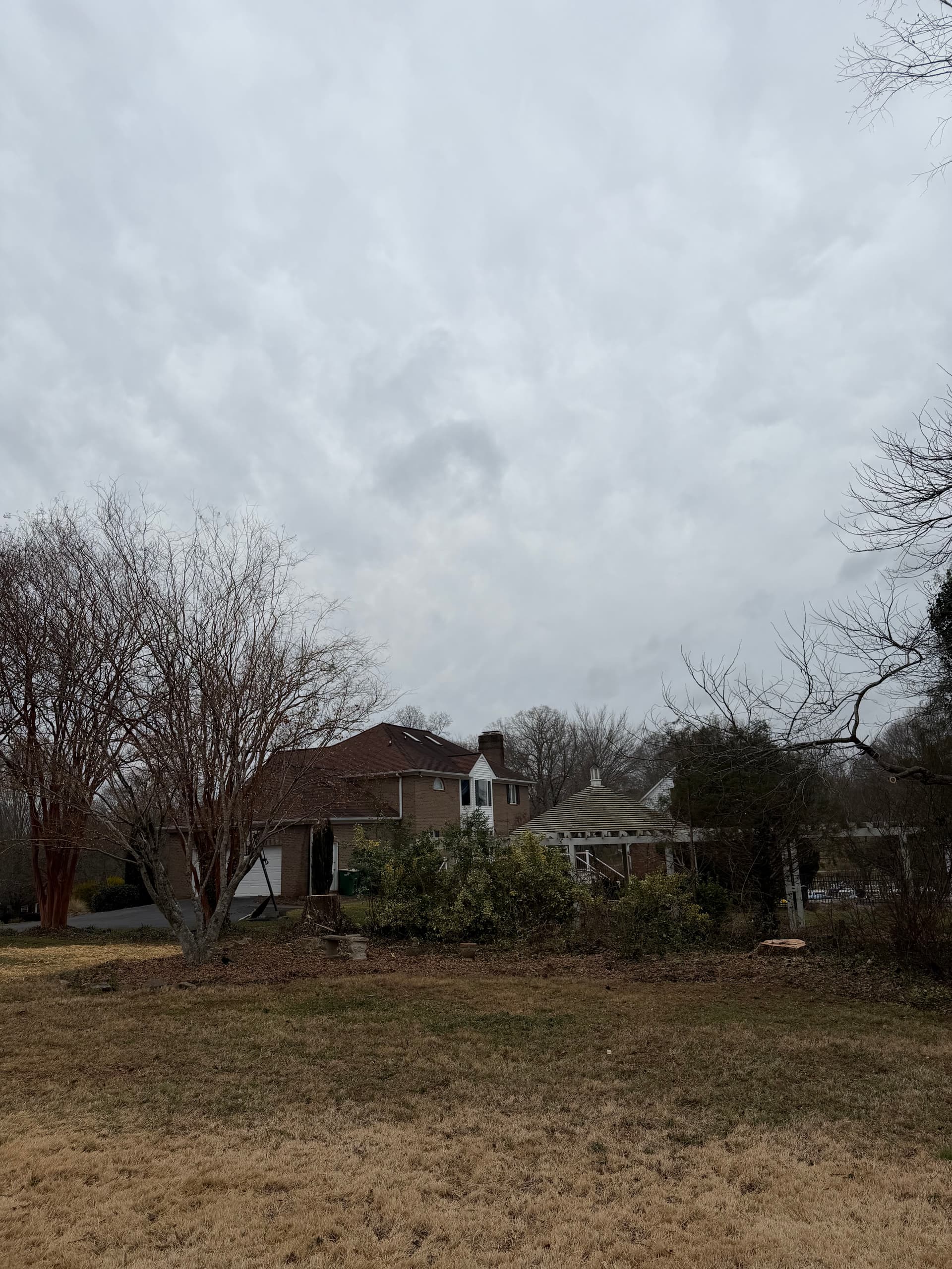 Safe and Efficient Tree Removal in Lewisville