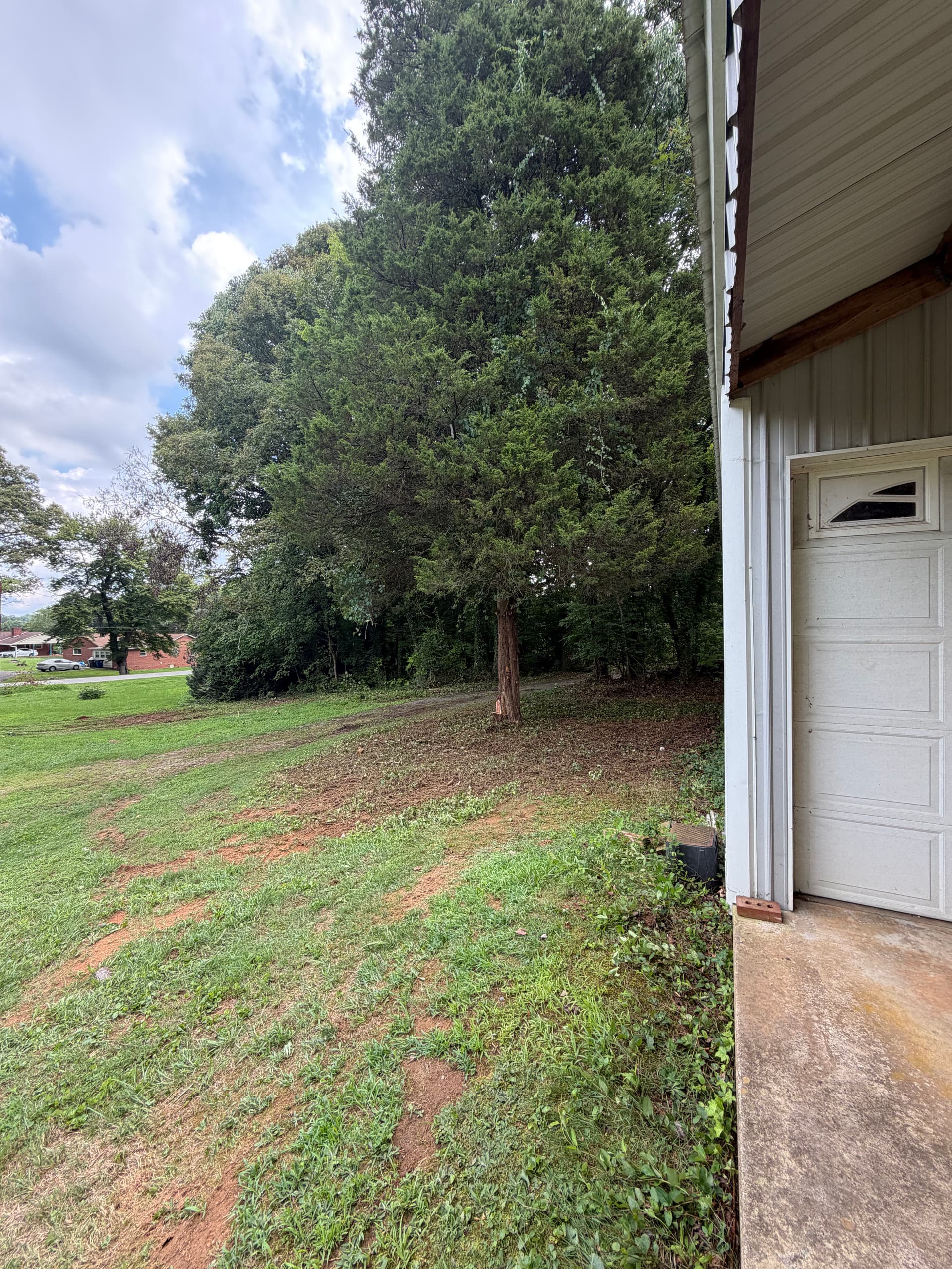 Brush and Overgrowth Clearing in Winston-Salem