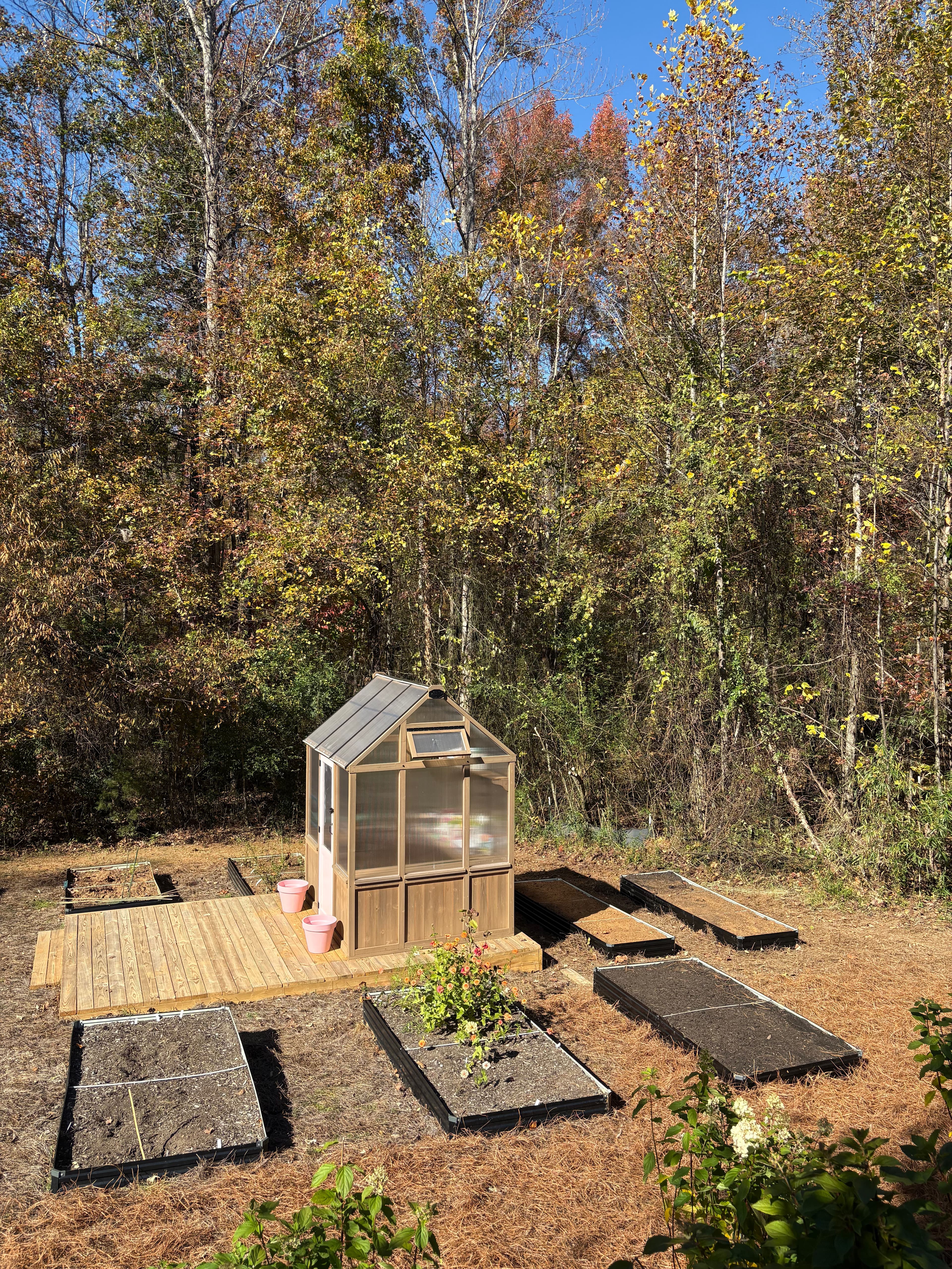 Project Stunning Landscape Renovation in Lewisville NC image