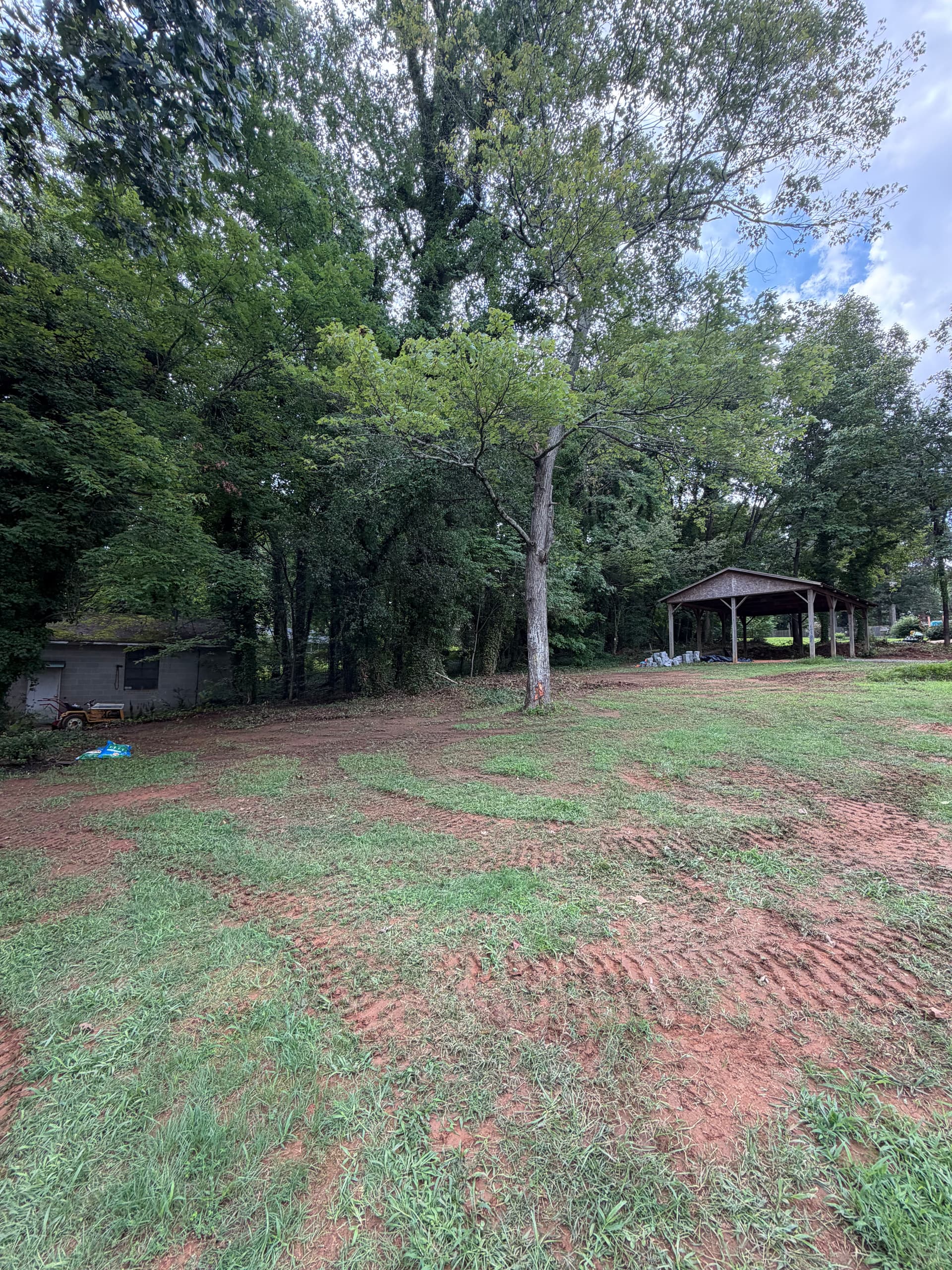 Brush and Overgrowth Clearing in Winston-Salem