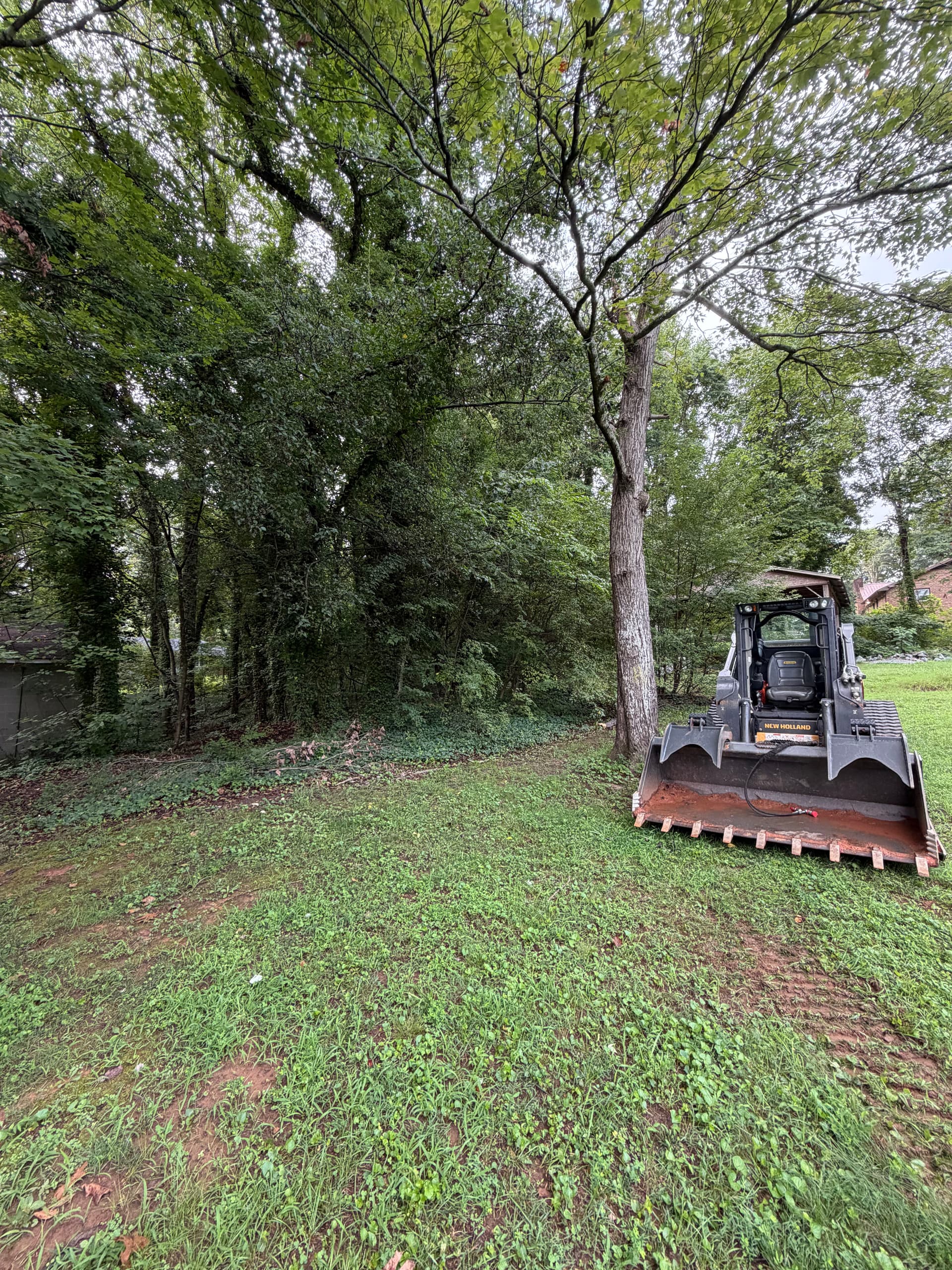 Brush and Overgrowth Clearing in Winston-Salem