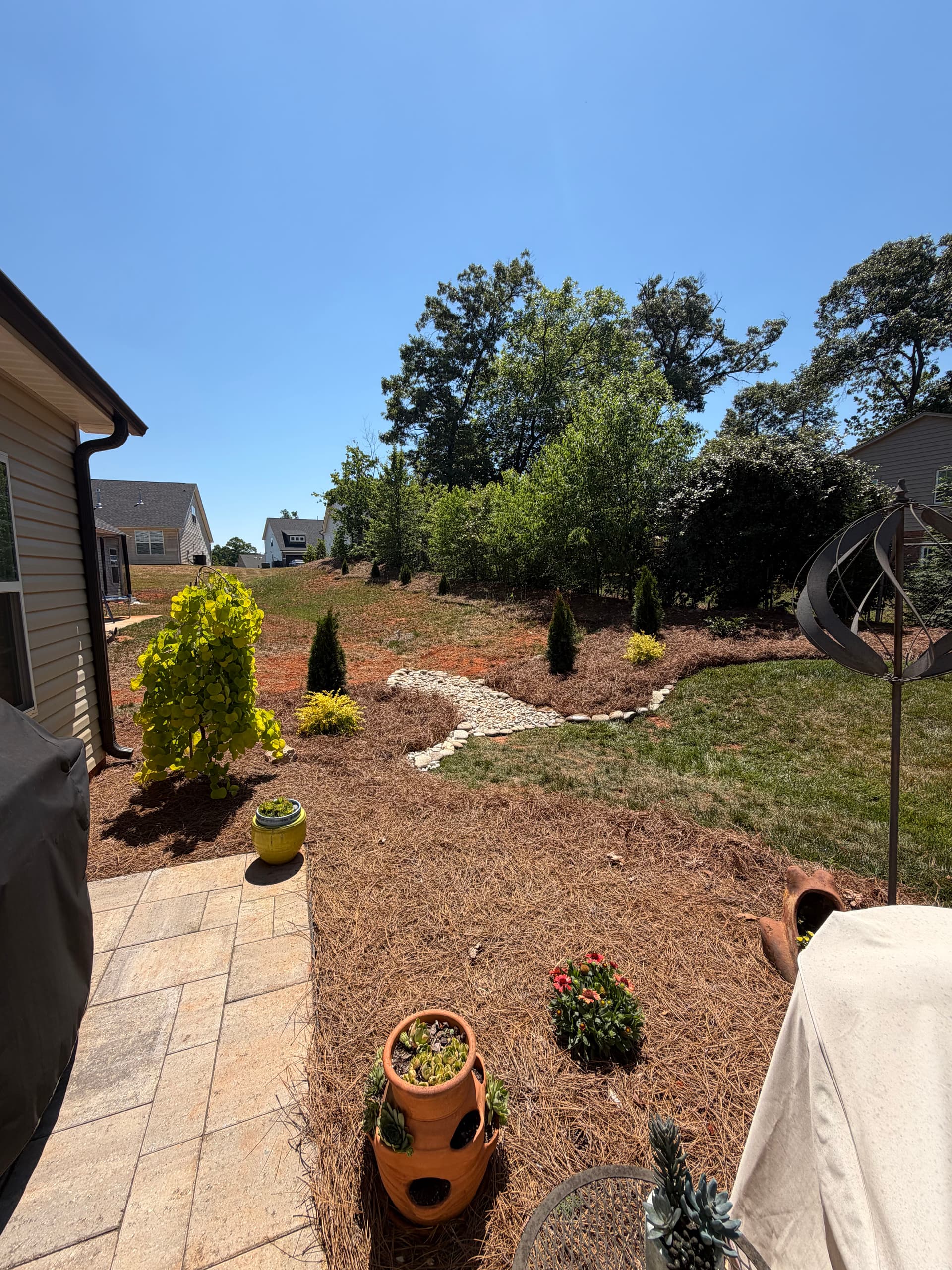 Drainage Fix and Full Landscape Install in Pfafftown