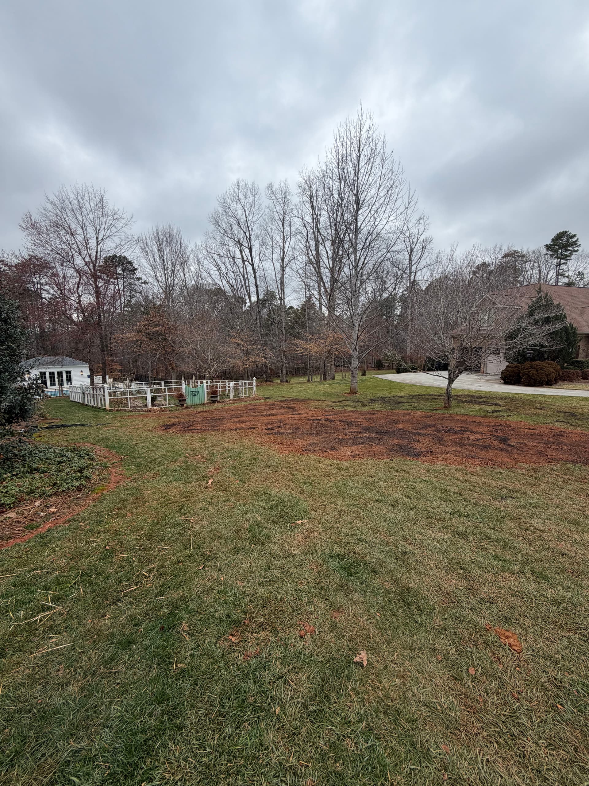 Tree and Stump Removal Project in Pfafftown NC