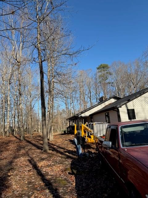 Safe Tree Removal and Land Clearing in Greensboro
