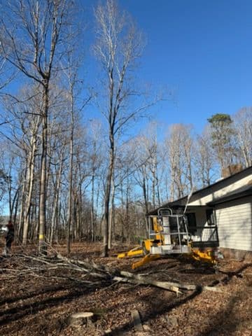 Safe Tree Removal and Land Clearing in Greensboro