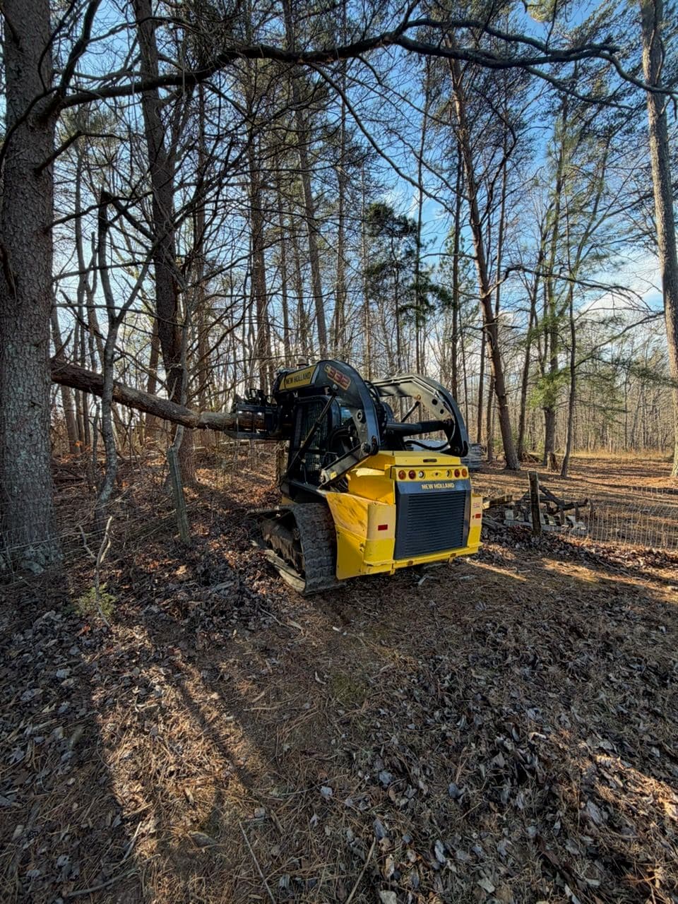 Tree Removal and Fence Repair in Winston-Salem