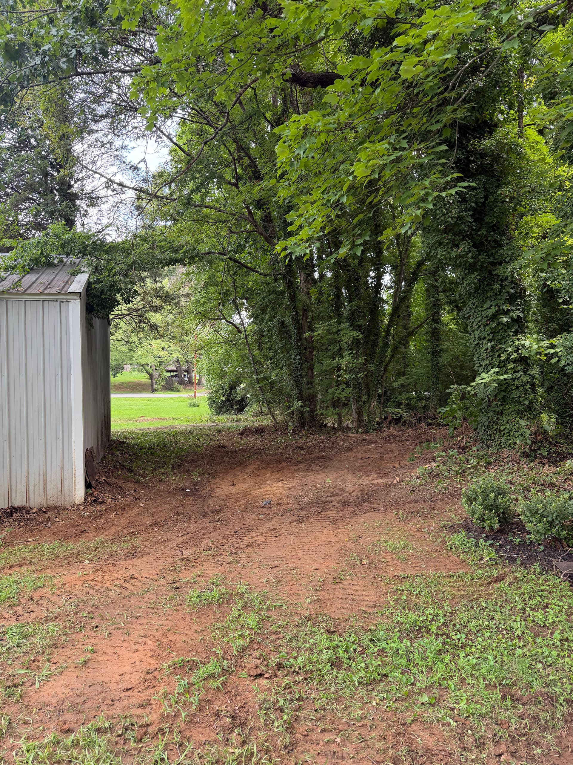 Gallery photos for Brush and Overgrowth Clearing in Winston-Salem: Image #5