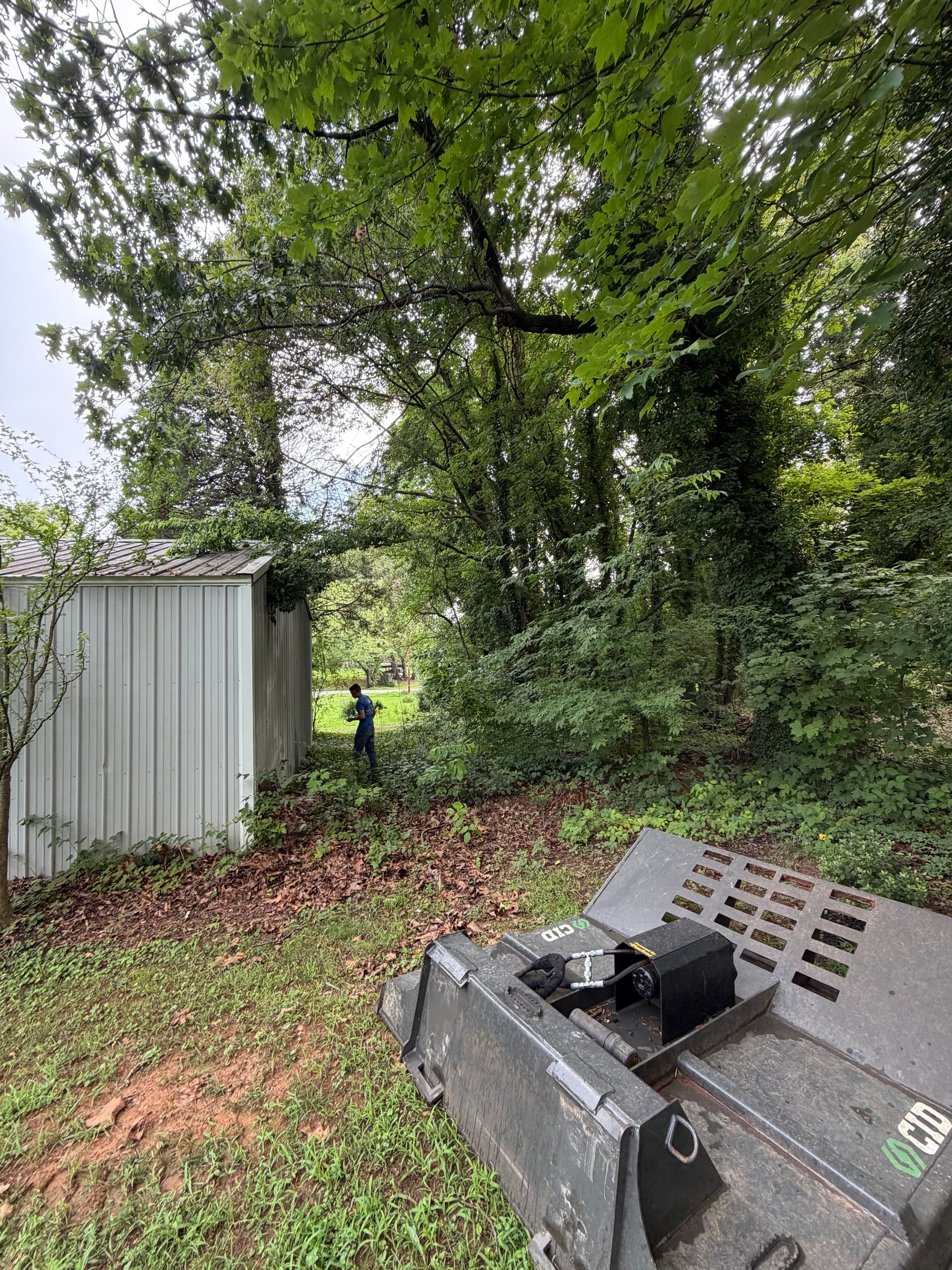 Gallery photos for Brush and Overgrowth Clearing in Winston-Salem: Image #4