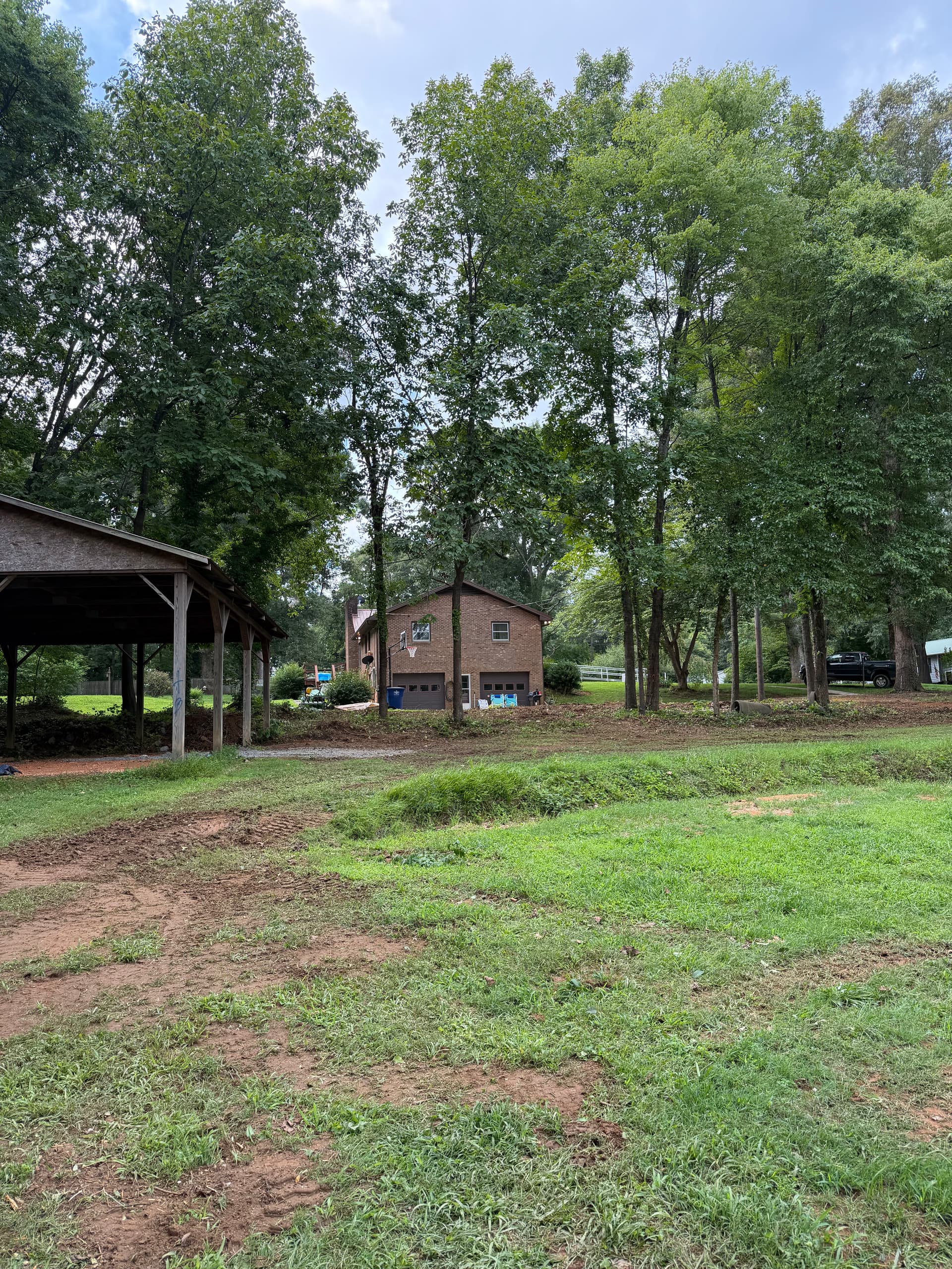 Gallery photos for Brush and Overgrowth Clearing in Winston-Salem: Image #6