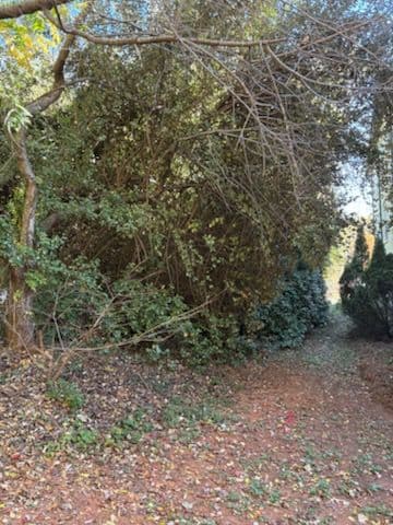 Gallery photos for Clearing for a Fence Installation in Greensboro NC: Image #1