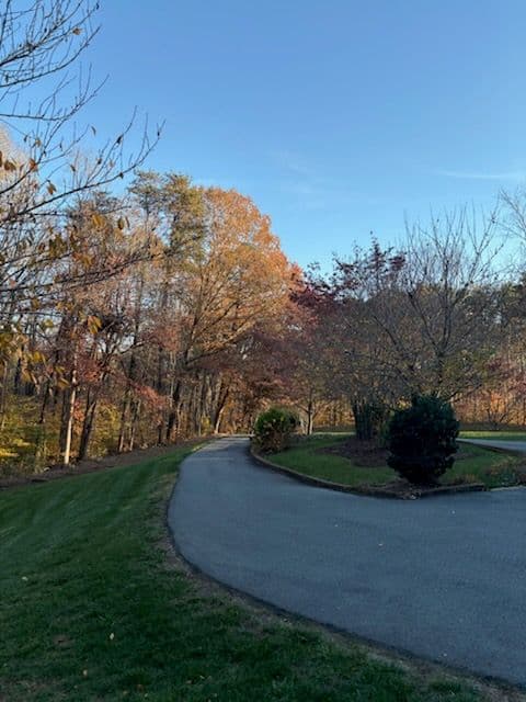 Gallery photos for Experience Autumn's Charm with Our Expert Lawn Care in King NC: Image #1