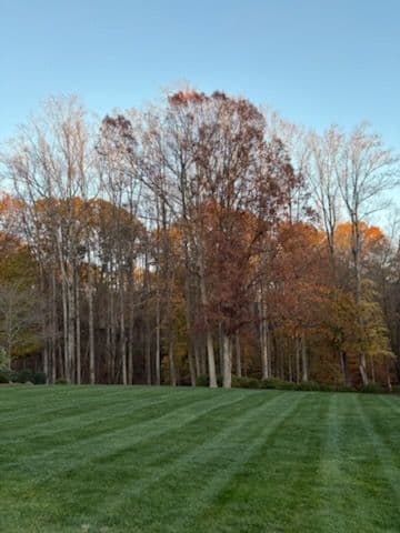 Gallery photos for Experience Autumn's Charm with Our Expert Lawn Care in King NC: Image #2
