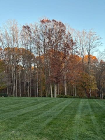 Gallery photos for Experience Autumn's Charm with Our Expert Lawn Care in King NC: Image #3